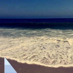 Meet your Posher, Riley